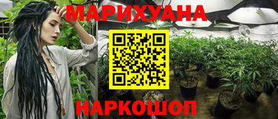 трава Ярославль